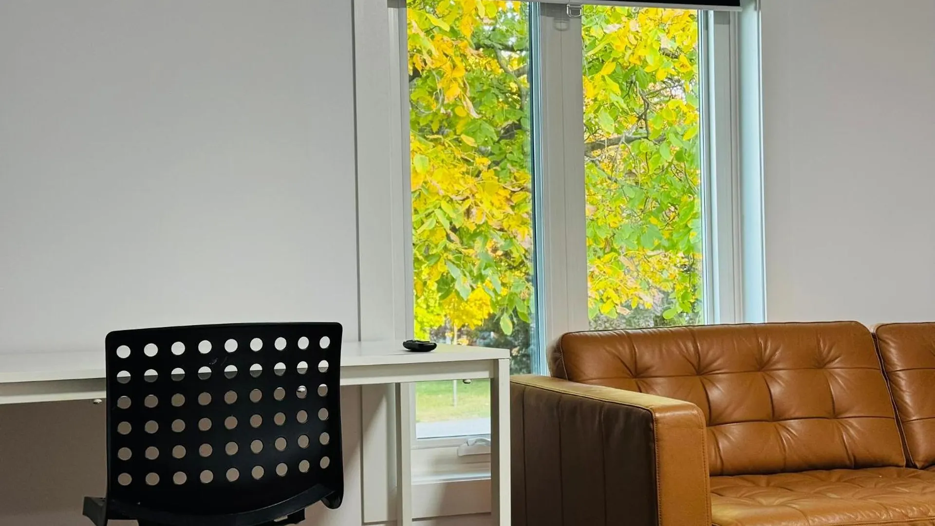 Entire Unit Airport Free Pkg Sep Entrance Newreno Appartement Toronto Canada