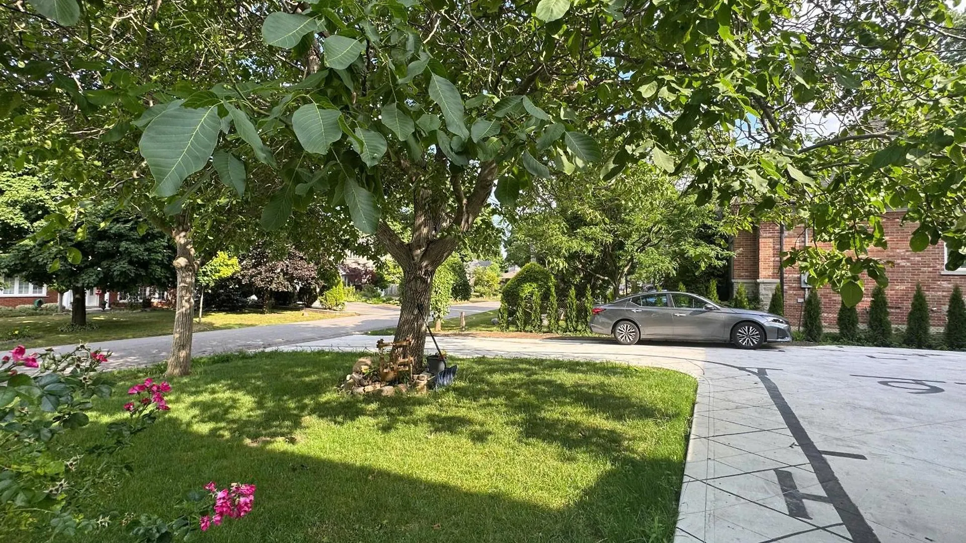 Entire Unit Airport Free Pkg Sep Entrance Newreno Appartement Toronto